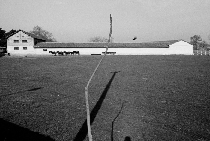 ХХ век в объективе талантливого фотографа-документалиста. Фото