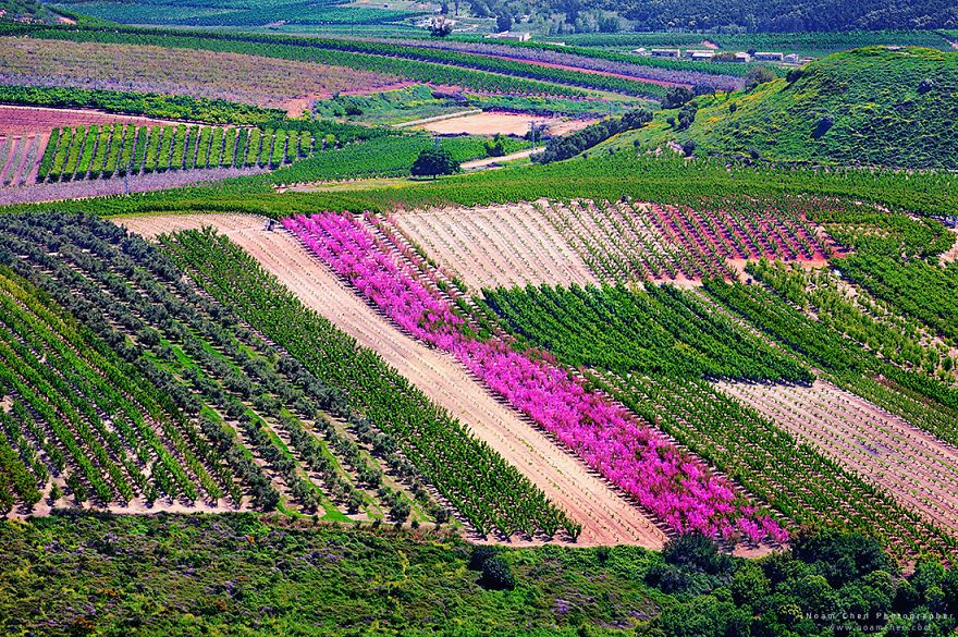 Местный житель показал впечатляющие красоты Израиля. ФОТО