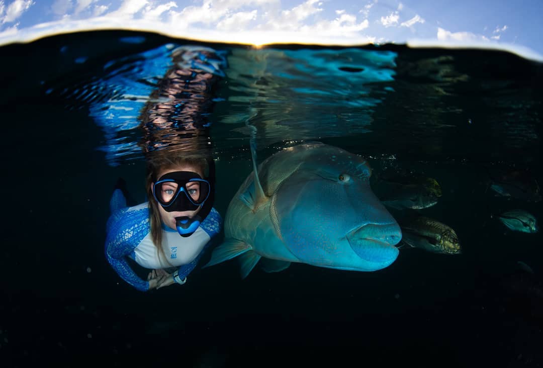 Потрясающие подводные снимки с морскими обитателями от Шеннон Лии Майерс