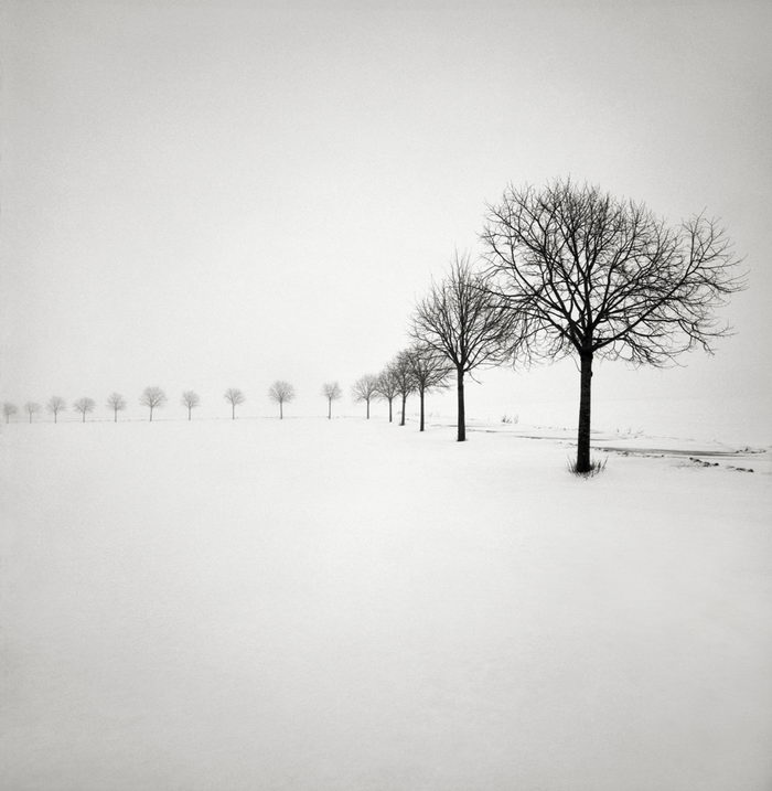 Черно-белая зима в снимках Hakan Strand