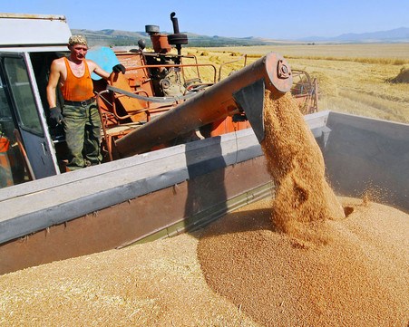 Украина и Россия решили вернуться к идее создания зернового пула