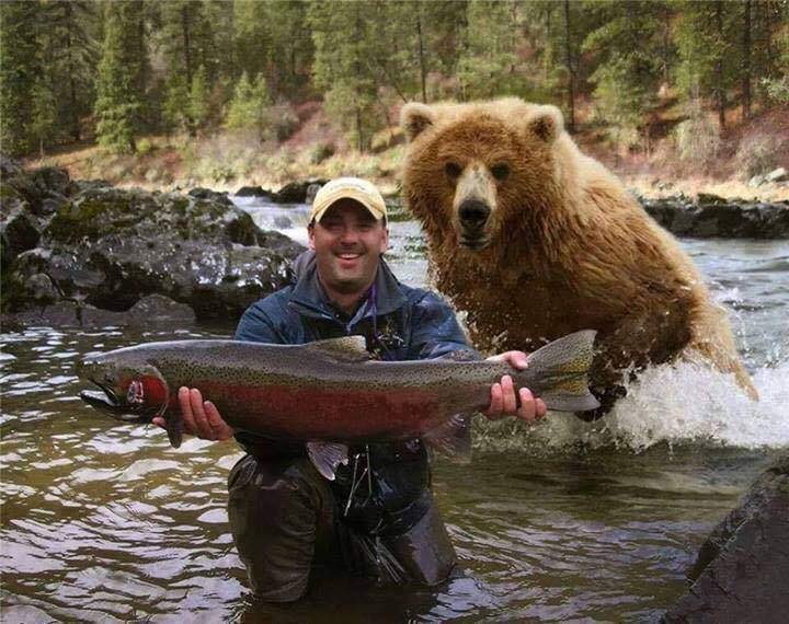 Веселые мемы от мастеров фотошопа. ФОТО