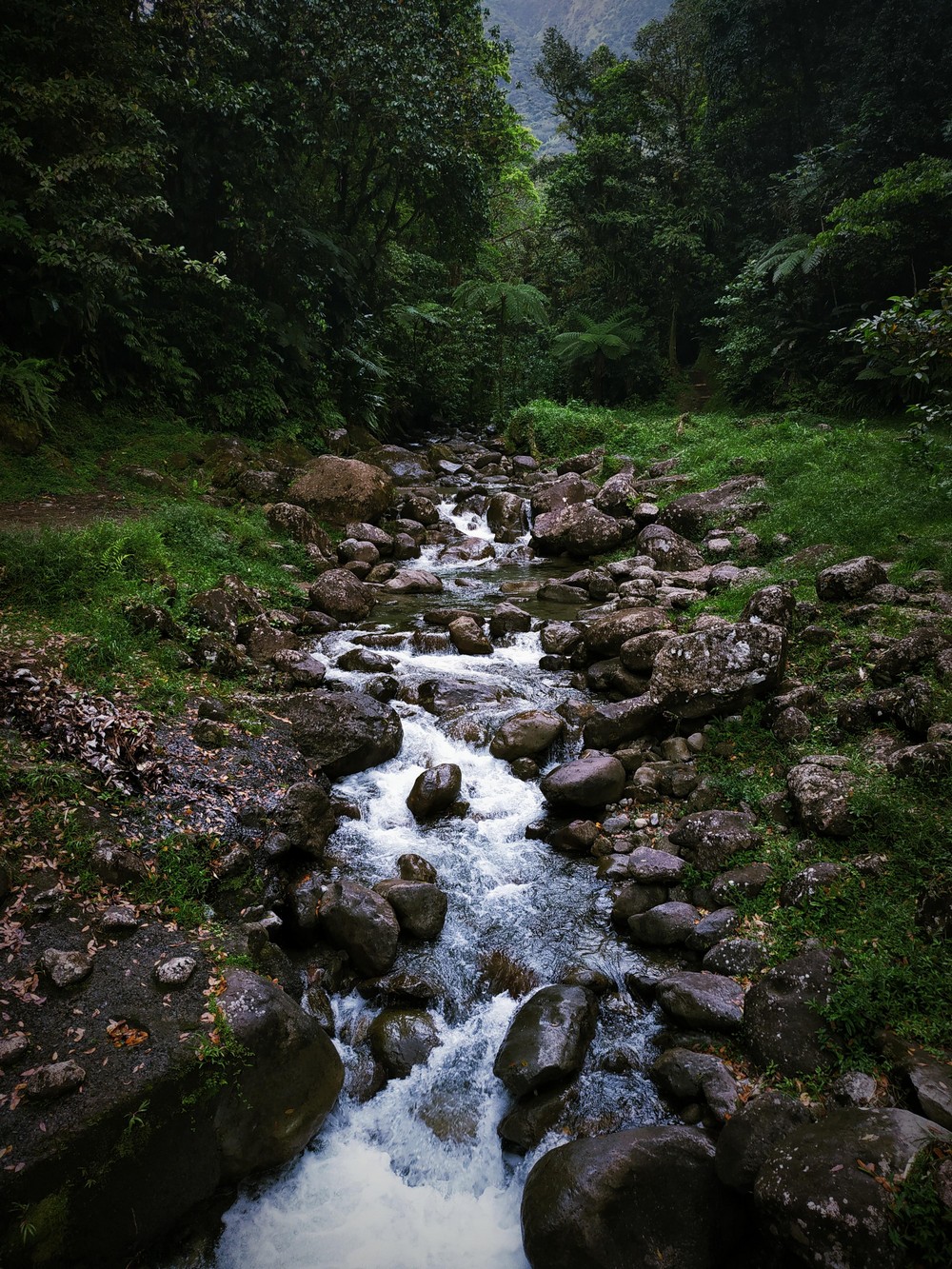 Красота природы на фотографиях