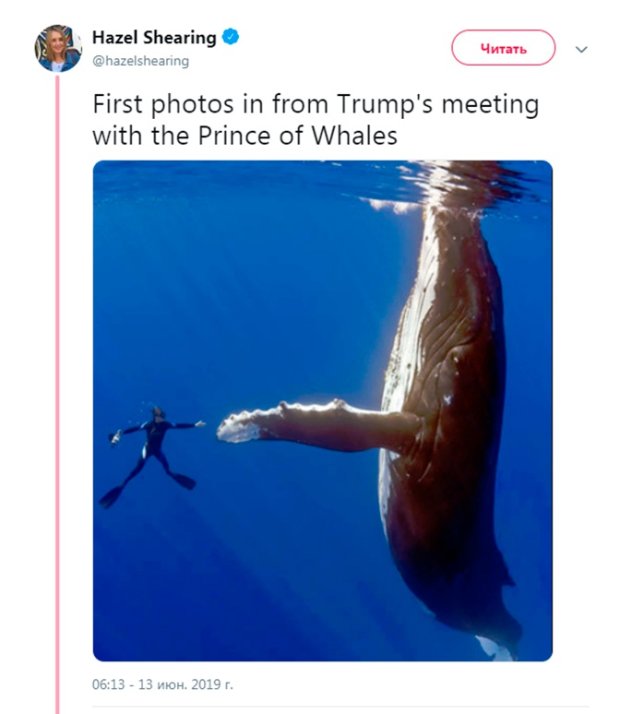 Трампа и «принца китов» высмеяли новым мемом. ФОТО