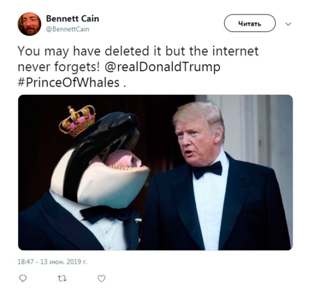 Трампа и «принца китов» высмеяли новым мемом. ФОТО