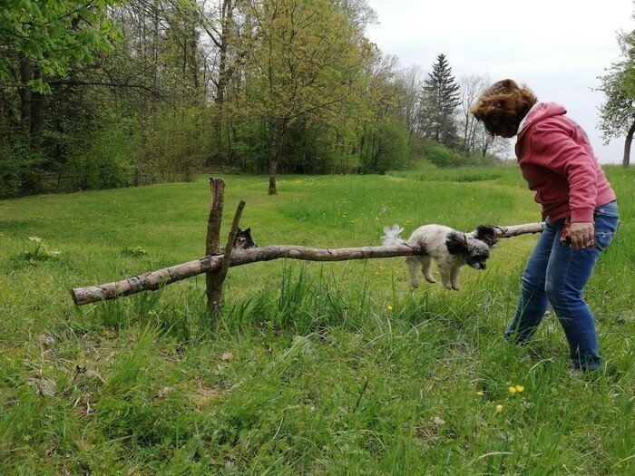 20 фотографий, которые бы подошли в музей провалов