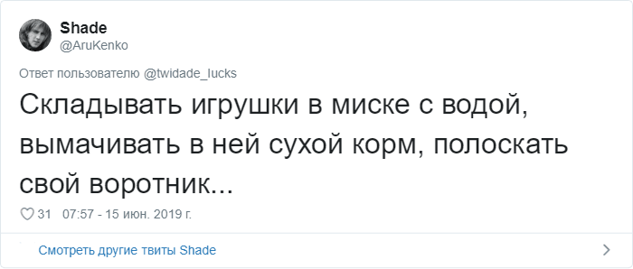 Пользователи Сети рассказали о странных привычках своих котов. ФОТО