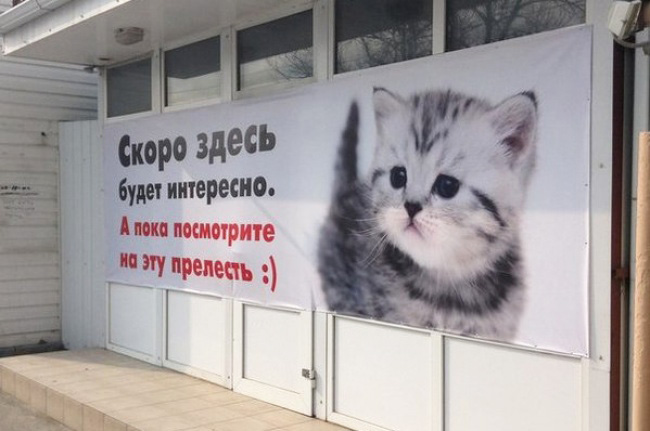 Уморительные вывески, мимо которых не пройти без улыбки. ФОТО