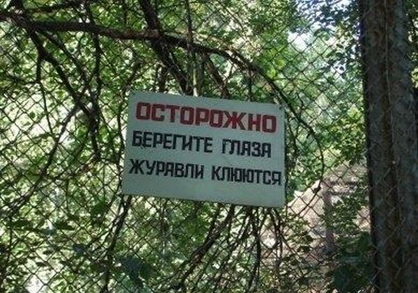 Уморительные вывески, мимо которых не пройти без улыбки. ФОТО