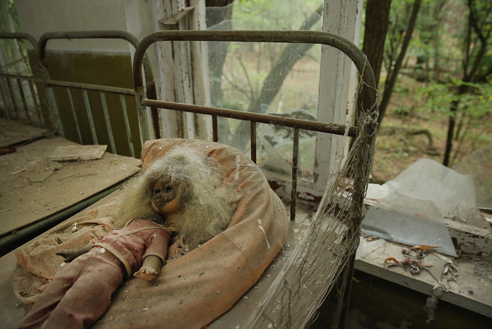 Животных Чернобыля показали в свежих снимках. Фото