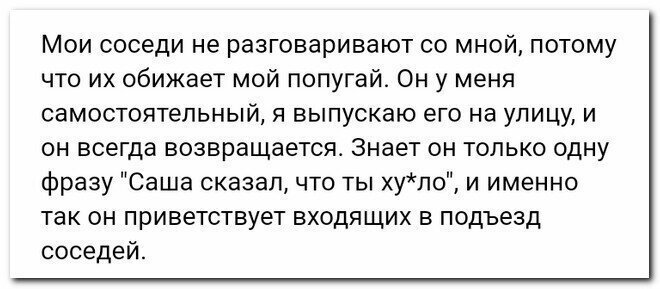 Неповторимые перлы из социальных сетей комментарии, перл, пользователи, прикол, смешно, соцсети, юмор