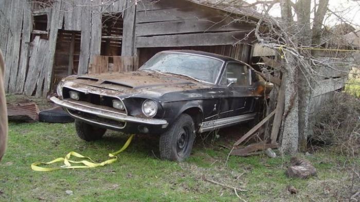 Единственный в своём роде Shelby GT500