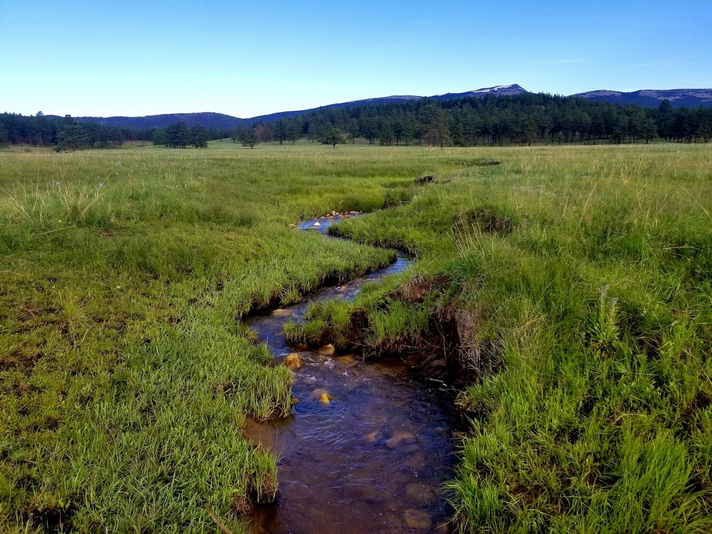 Красота природы на фотографиях