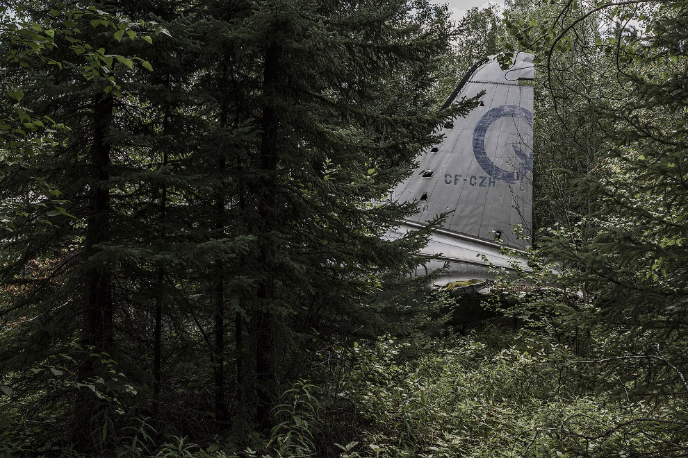 Удачно упавшие самолеты на снимках немецкого фотографа
