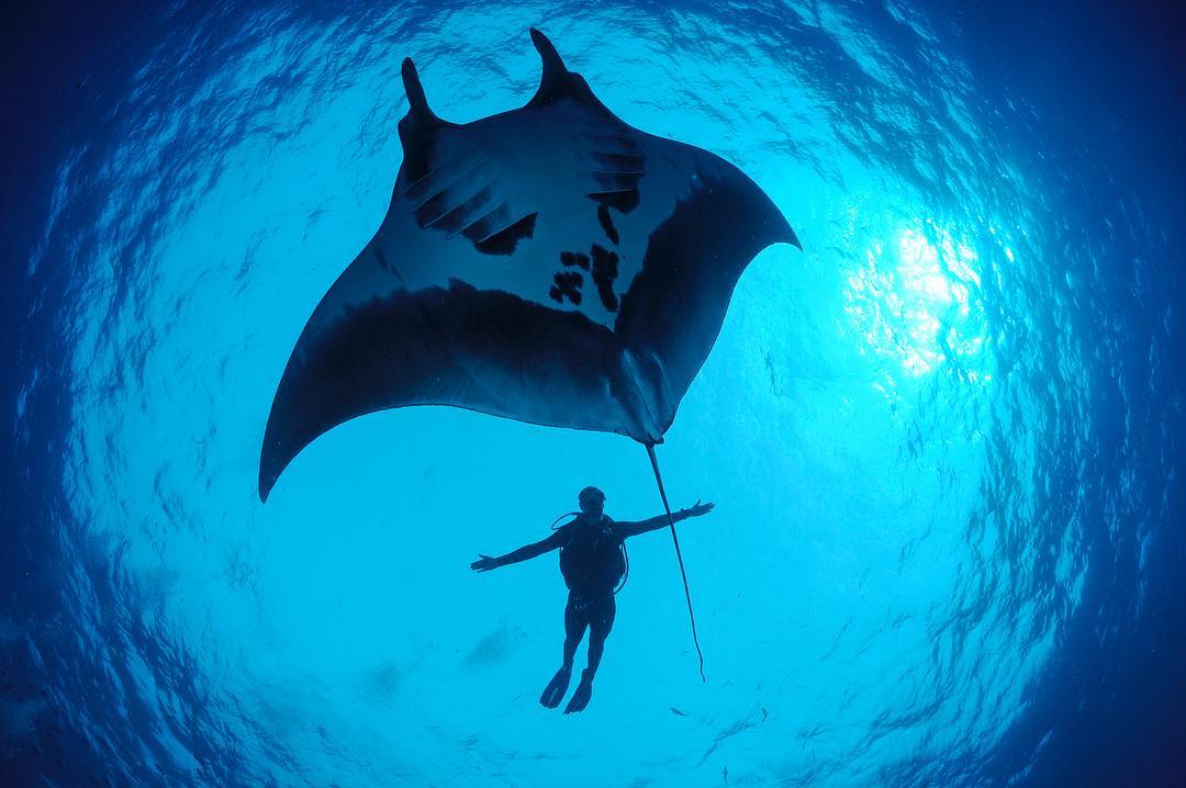 Океан и подводные снимки от Томаса Пескака
