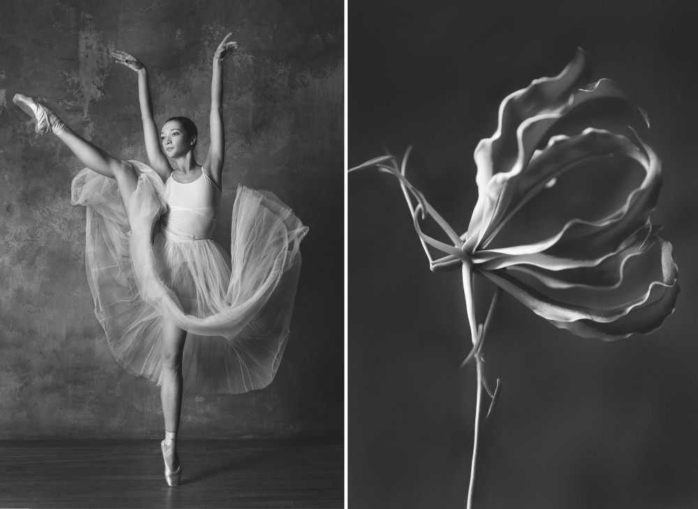 Фотограф показал, что общего между балеринами и цветами. ФОТО
