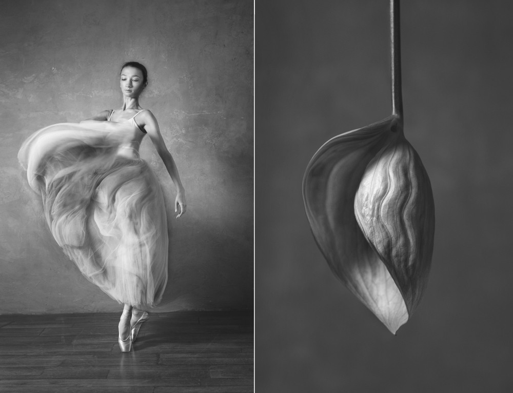 Фотограф показал, что общего между балеринами и цветами. ФОТО