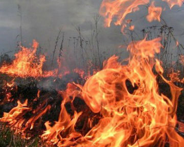 В Украине объявлены штормовое предупреждение и высокая пожароопасность