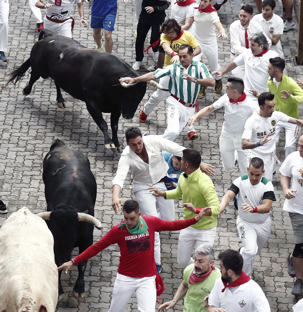 Традиционный забег с быками в Испании 2019