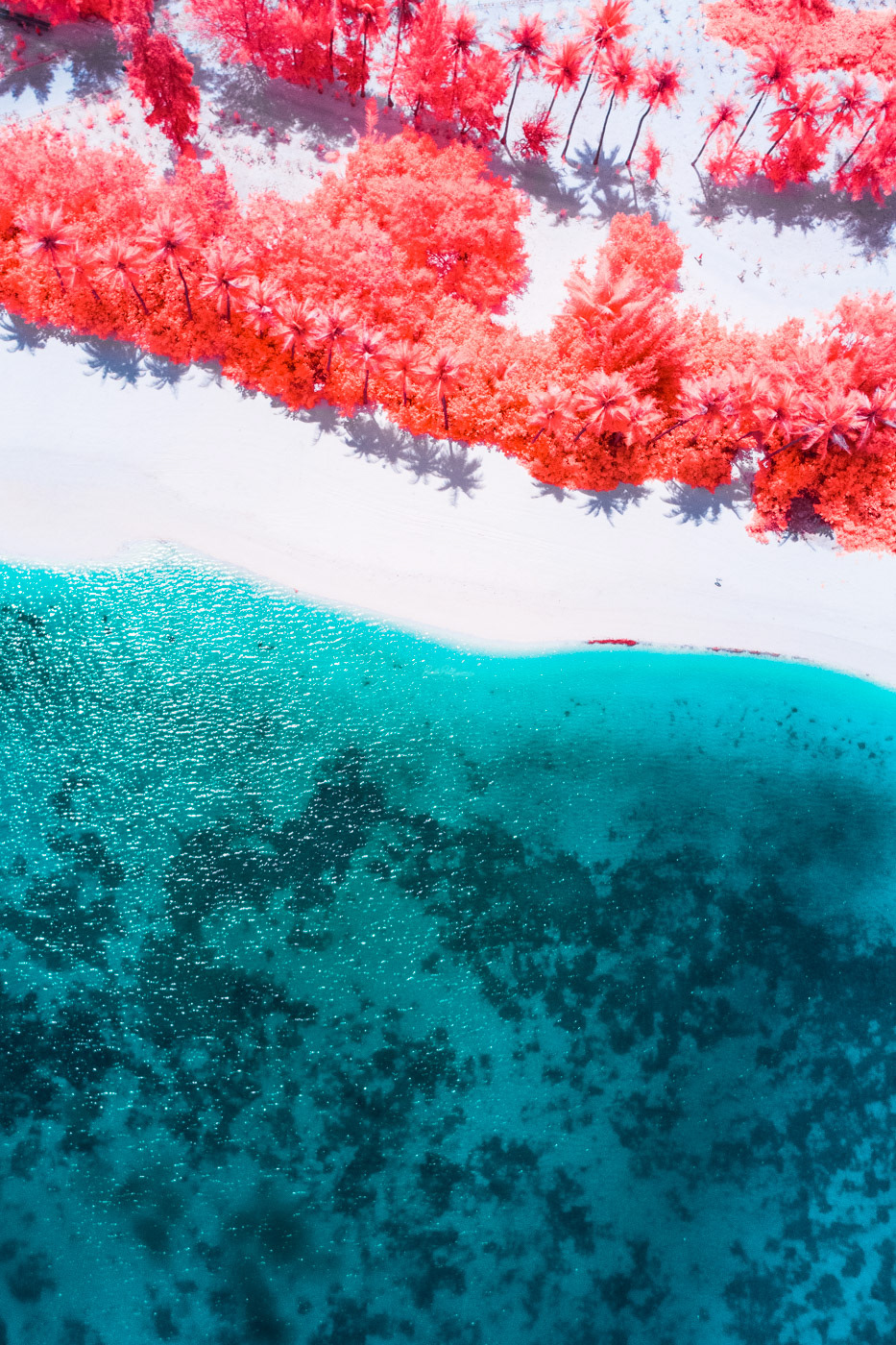 Мальдивы с высоты в инфракрасном диапазоне на снимках Паоло Петтиджани