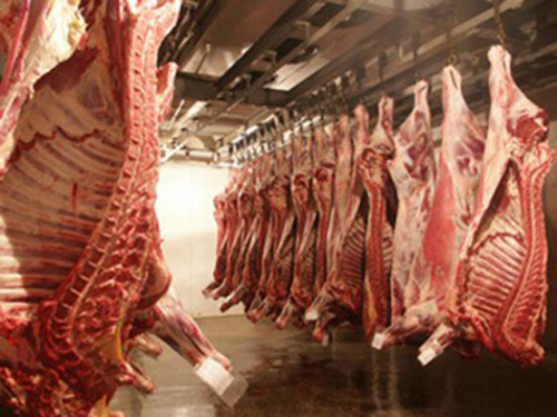 Украина решила накормить Китай: со следующего года будет экспортировать туда мясо