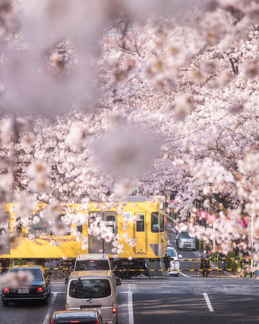 Природные и городские пейзажи Японии на снимках Хироки Фурукавы