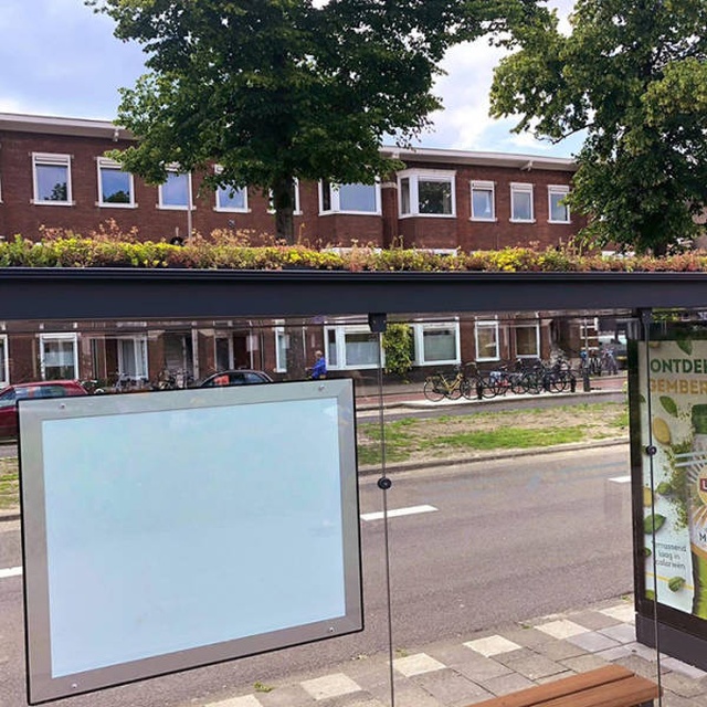Новые автобусные остановки в Нидерландах помогают спасти пчел