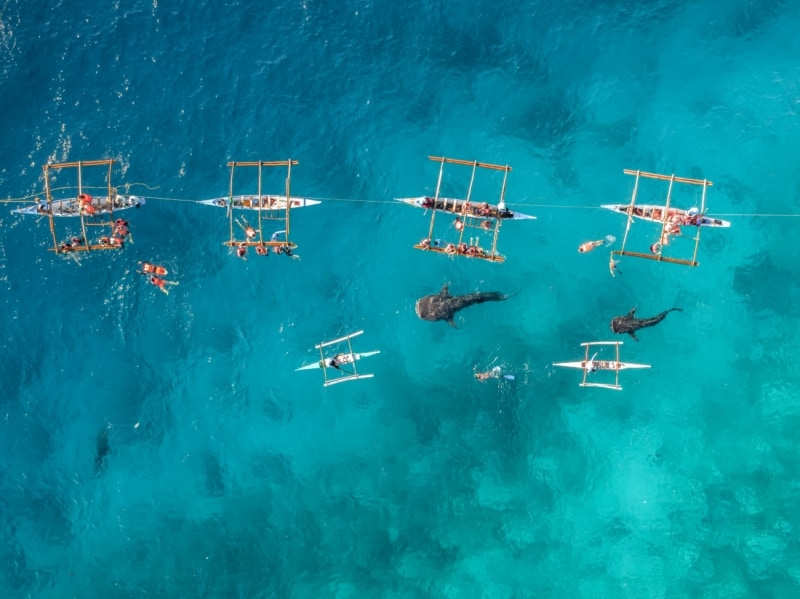 Эффектные снимки с фотоконкурса Drone Awards 2019. Фото