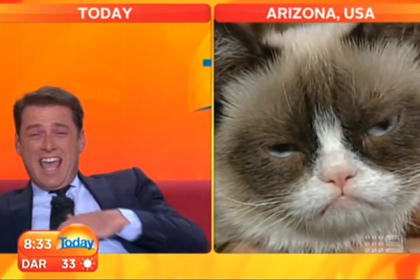 Сердитый котик дал эксклюзивное интервью в утреннем шоу