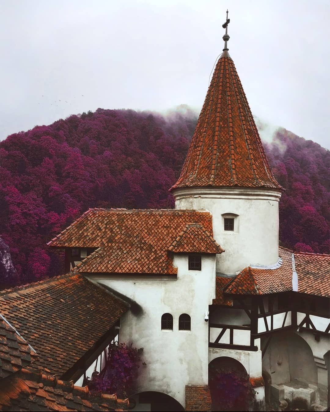 Городские пейзажи и уличные снимки от Грегори Комнинеллиса. ФОТО