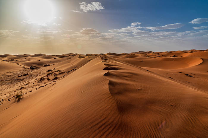 Как люди выживают в экстремальном климате пустыни
