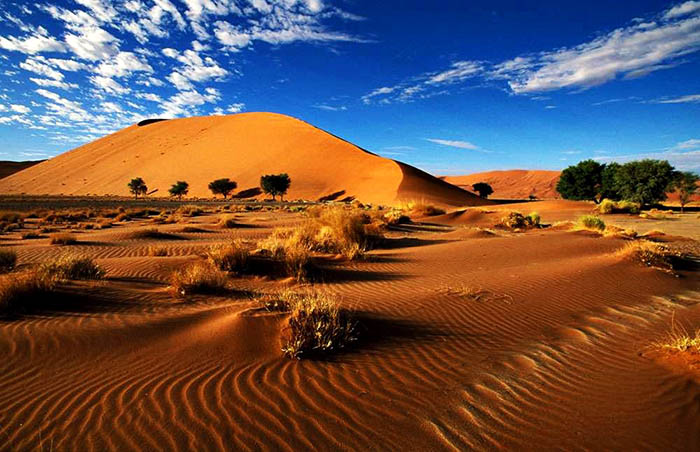 Как люди выживают в экстремальном климате пустыни