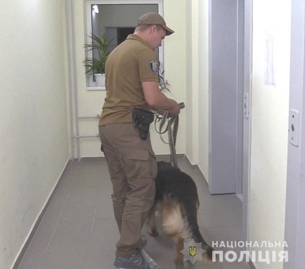 В Полтаве задержали парня, убившего девушку в Киеве. Видео