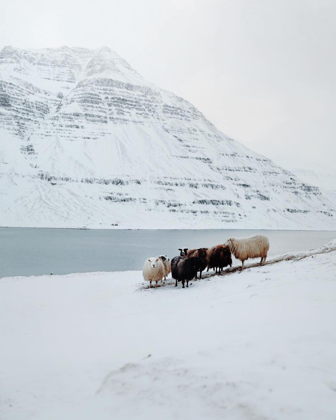 Яркие пейзажи от фотографа-самоучки из Норвегии. Фото