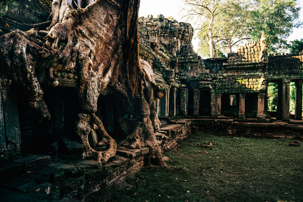 В заброшенных храмах Камбоджи. ФОТО