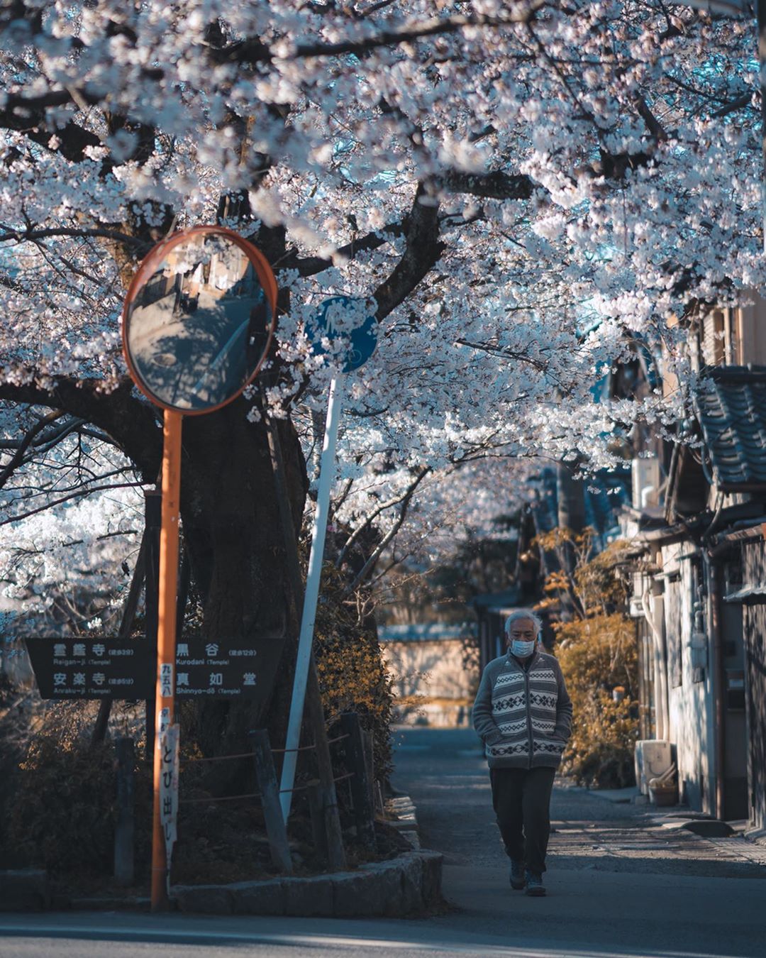 Уличные снимки Японии от Пэта Кея