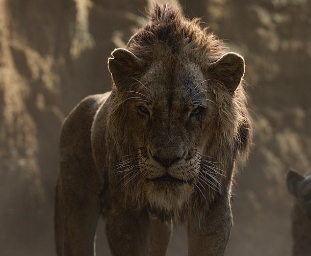 В Кении обнаружили одноглазого льва. ФОТО
