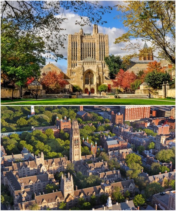 Йельский университет считается красивейшим кампусом Америки (Yale University, США). | Фото: unipage.net.