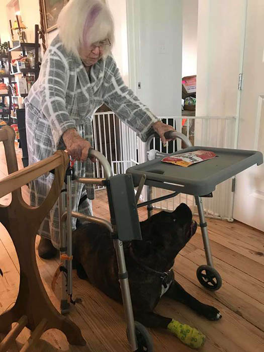 Уличный пёс, который стал помощником для 99-летней женщины