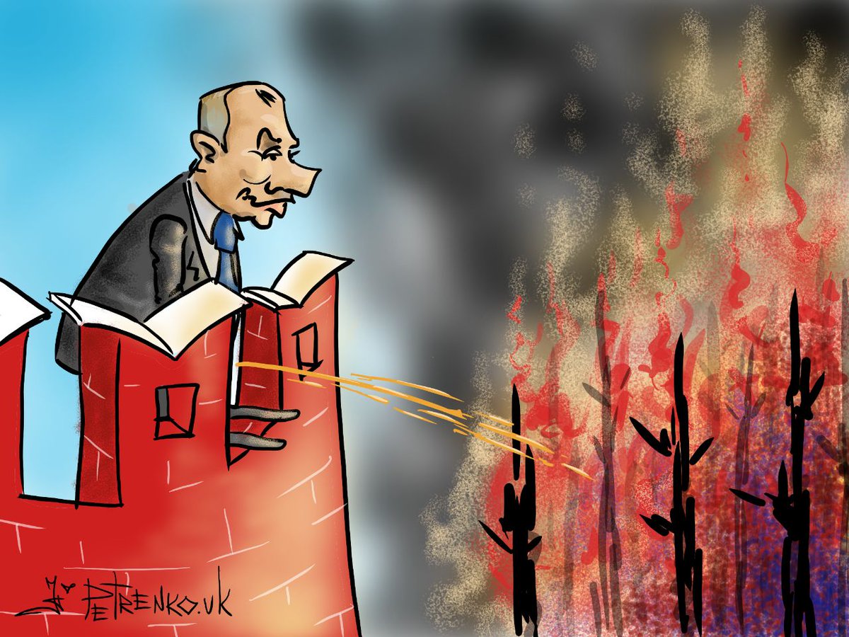 Реакцию Путина на пожары в Сибири высмеяли карикатурой. ФОТО