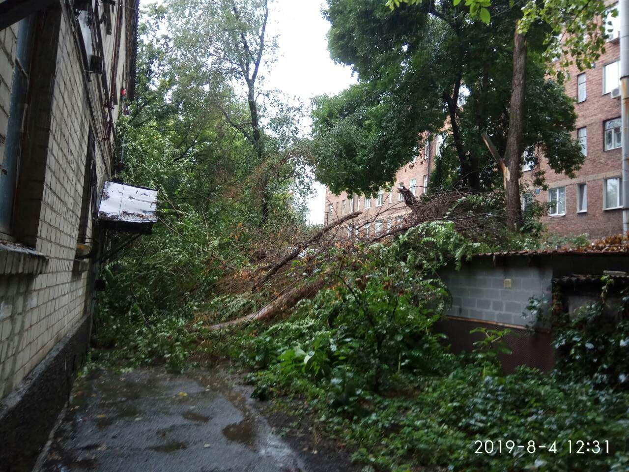 Упавшее дерево на улице Вернадского