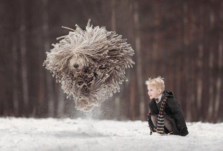 фото в нужный момент, фотографии сделанные в нужный момент, смешные фотографии в нужный момент