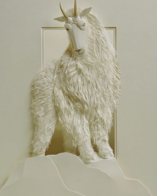 Канадец создает реалистичные скульптуры животных из бумаги. Фото