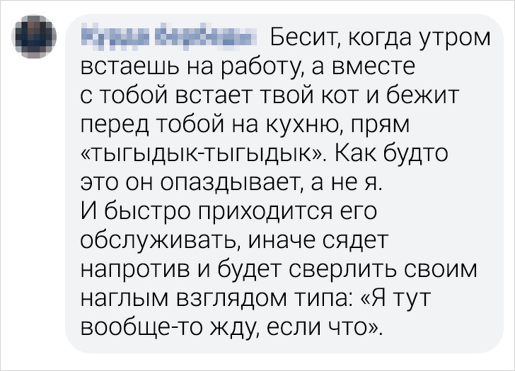 20+ жизненных мелочей, которые пробуждают в читателях AdMe.ru боевого хомяка