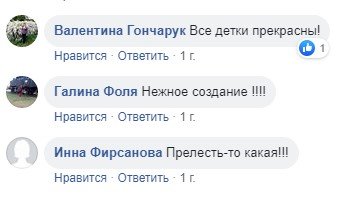 В сети набирает популярность видео, как милый детеныш выдры пьет молоко из бутылочки