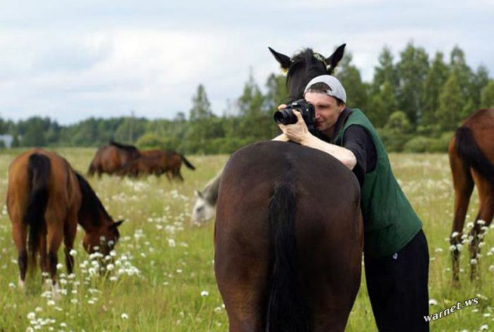 Лошадь вместо штатива. | Фото: WarNet.ws.