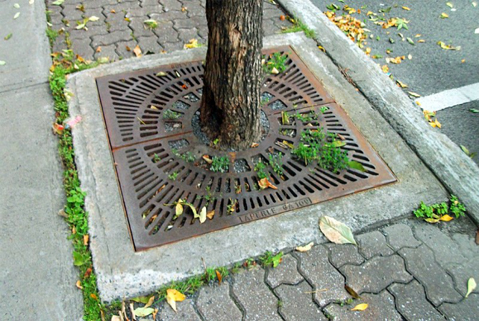 Решетка для корней деревьев. | Фото: cellcode.us.
