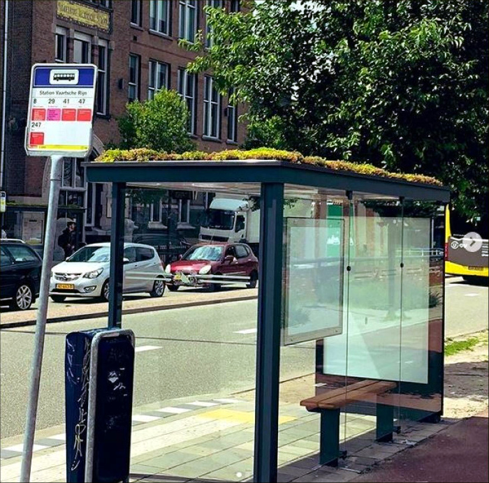 Зеленая автобусная остановка. | Фото: http://press24.net.