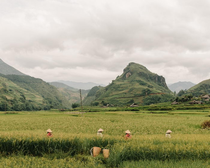 Вьетнам в фотографиях Kevin Faingnaert