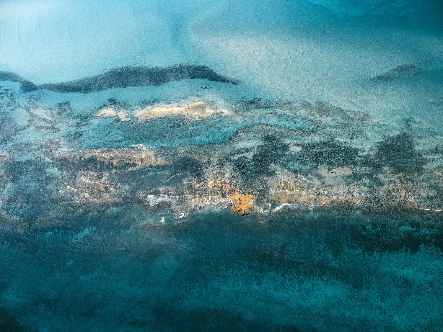 Фотограф оригинально показал красоту коралловых рифов. ФОТО